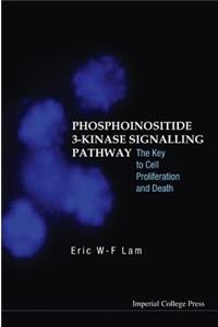 Phosphoinositide 3-Kinase Signalling Pathway: The Key to Cell Proliferation and Death