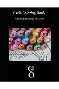 Adult Coloring Book 8