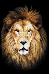 Lion Head Notebook