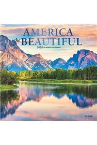 America the Beautiful 2020 Square Plato Foil