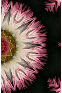 Kaleidoscope Notebook