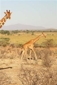 Giraffe Notebook