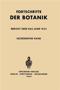 Bericht Über Das Jahr 1953