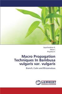 Macro Propagation Techniques in Bambusa Vulgaris Var. Vulgaris