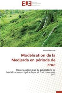 Modélisation de la medjerda en période de crue
