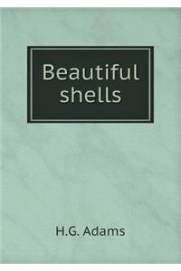 Beautiful Shells