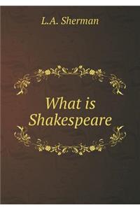 What Is Shakespeare