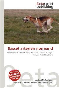 Basset Artesien Normand