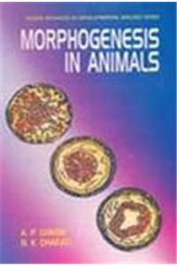 Morphogenesis in Animals