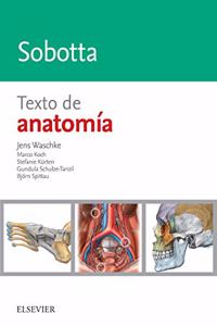 Sobotta. Texto de anatomia