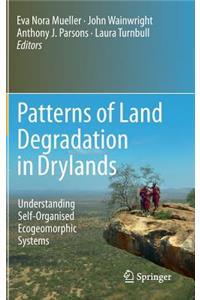 Patterns of Land Degradation in Drylands
