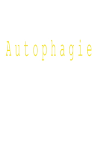 Autophagie