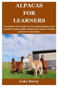 Alpacas for Learners