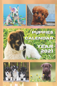 Puppies calendar 2021