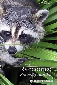 Raccoons