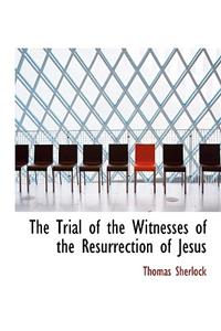 The Trial of the Witnesses of the Resurrection of Jesus