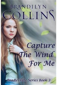 Capture The Wind For Me