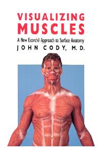 Visualizing Muscles