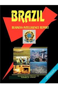 Brazil Business Intelligence Report