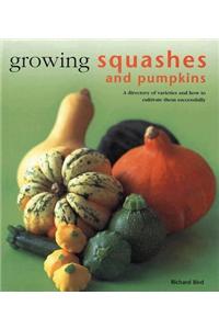 Growing Squashes and Pumpkins