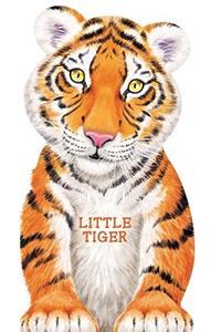 Little Tiger