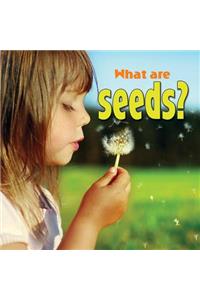 What Are Seeds?