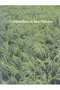 Compendium of Rice Diseases