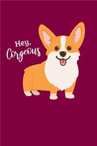 Hey Corgeous