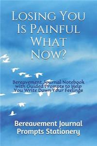 Losing You Is Painful What Now?
