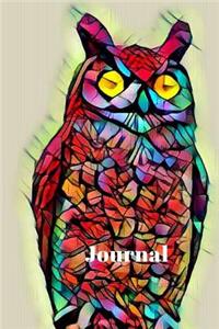 Cute Colorful Rainbow Prism Blue Teal Pink Owl Bird Lovers Pretty Blank Lined Journal for Daily Thoughts Notebook Diary for Women