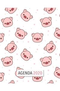 Agenda 2020