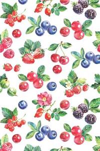 Cherries Bullet Journal