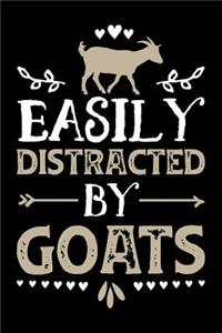 Easily Distracted by Goats