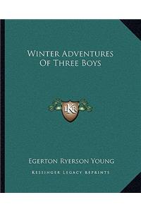 Winter Adventures of Three Boys