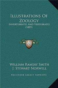 Illustrations Of Zoology