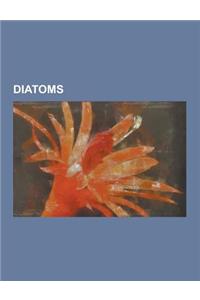 Diatoms