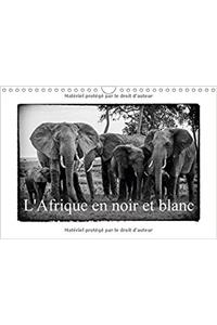 L' Afrique en Noir et Blanc 2017