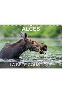 Alces - La Bete Aquatique 2018