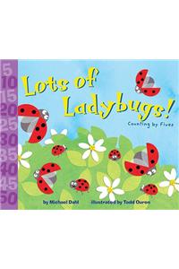 Lots of Ladybugs!