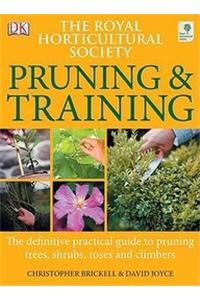 Rhs Pruning & Training