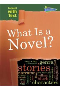 What Is a Novel?