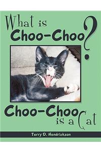 What is Choo-Choo?