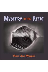 Mystery in the Attic