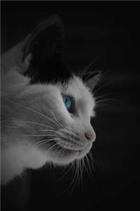 Mind Blowing Blue Eye Kitty Cat Journal