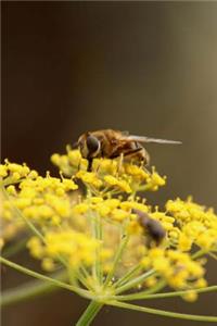 Mind Blowing Bee On Flowers Journal