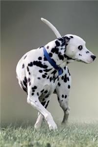 Dalmation December Notebook & Journal. Productivity Work Planner & Idea Notepad