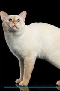 Mekong Bobtail Affirmations Workbook Mekong Bobtail Presents