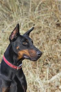 Black Doberman Dog Journal