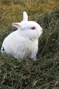 Little White Bunny Rabbit Animal Journal