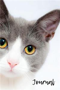 Journal